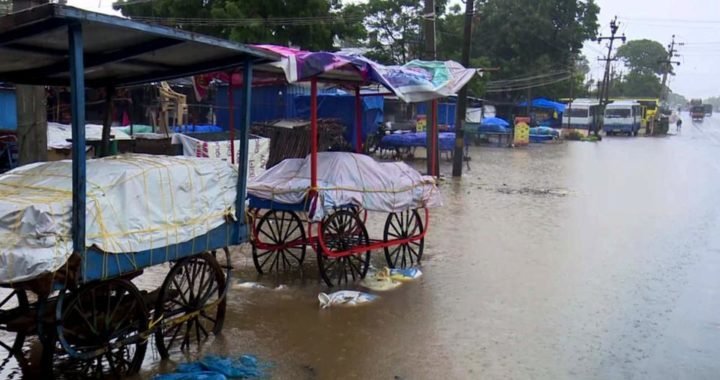 5 dead, school, colleges shut as rain wreaks havoc in Tamil Nadu