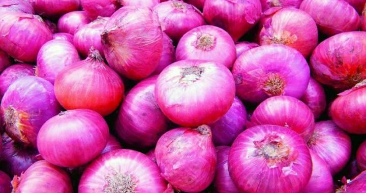 ‘Imported onions to reach Tamil Nadu on December 12’